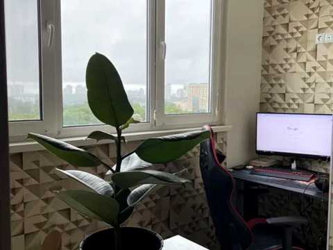 квартира по адресу Александровская ул., 1