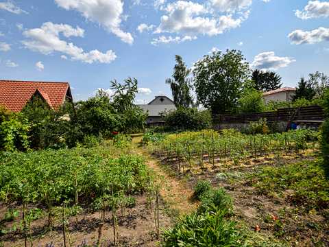 будинок за адресою Вишнева вул., 6
