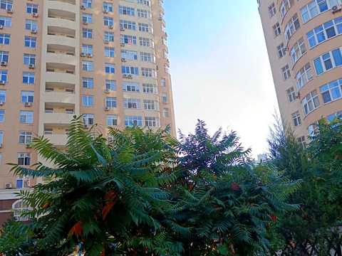 квартира за адресою Драгоманова вул., 40-Е