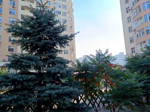 квартира за адресою Драгоманова вул., 40-Е