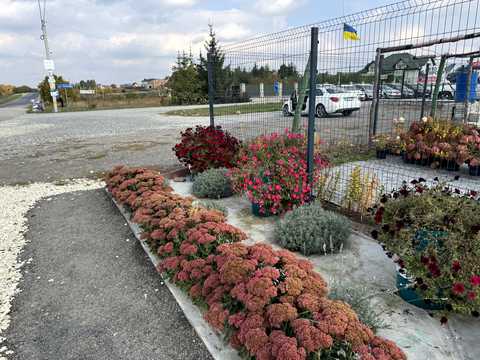 ділянка за адресою с. Біла, Лісова