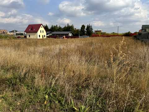 ділянка за адресою с. Біла, Лісова