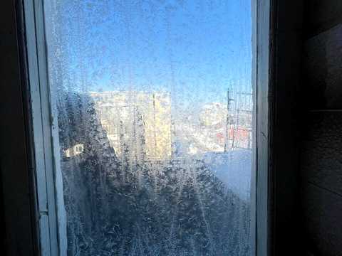 квартира за адресою Липова вул., 2