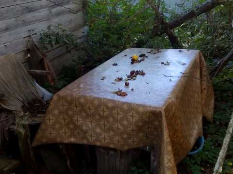 будинок за адресою Шевченка, 36
