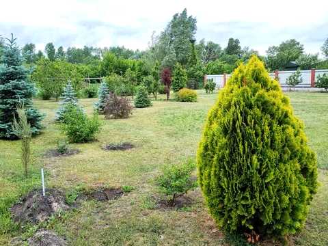 дом по адресу вербицького