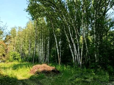 будинок за адресою с. Березанка, Садова