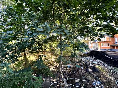 ділянка за адресою Покровська вул., 34В