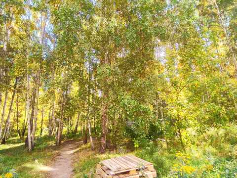 квартира за адресою Відродження вул., 7