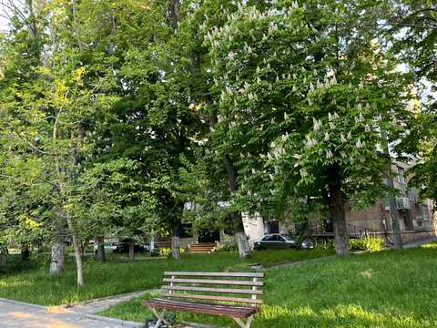 квартира по адресу Черняховского ул. (Черняховського), 20
