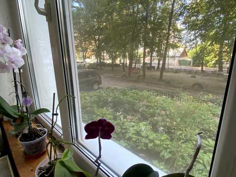 квартира за адресою Житомир, Домбровського вул., 86