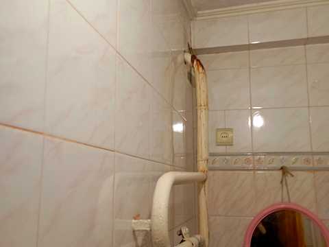 квартира по адресу Щусева ул., 8-А
