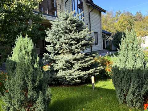 дом по адресу Берковецкая ул., 11