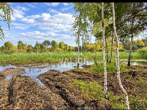 ділянка за адресою Оріяна