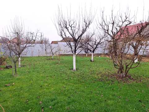 будинок за адресою Луговий пр.