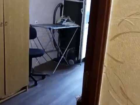 квартира по адресу Мира ул., 66