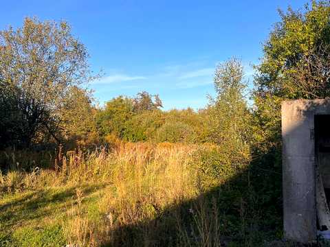 1878375586981017