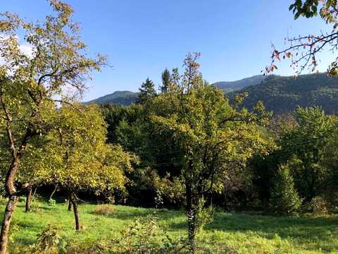 ділянка за адресою Косів, 