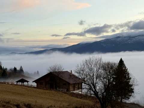 дом по адресу с.Ростока