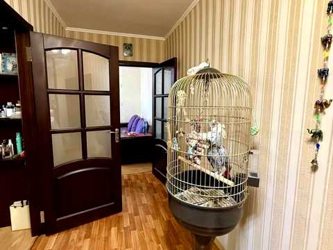 квартира за адресою Власенка вул., 22