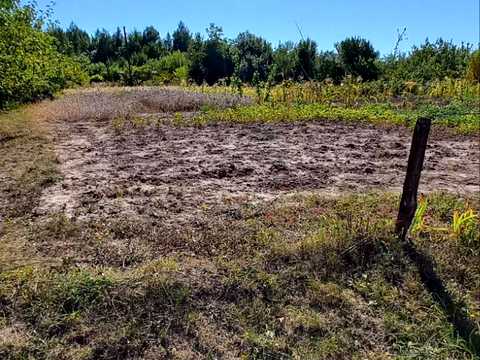участок по адресу СТ Яблуня-2