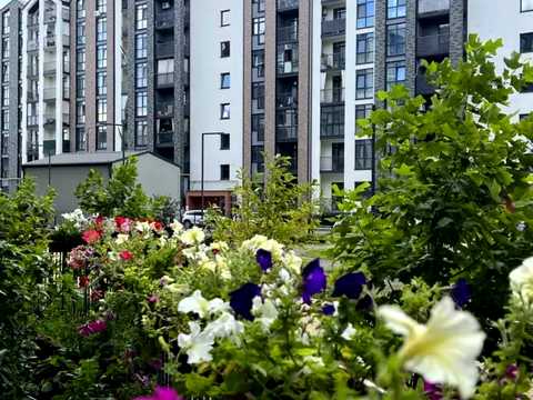 квартира по адресу Героїв Крут ул., 10
