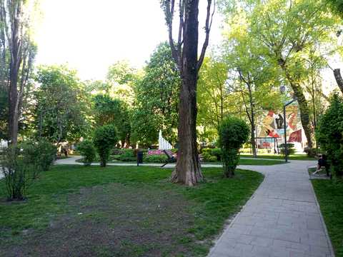 комерційна за адресою Велика Житомирська вул., 17/2