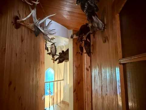 будинок за адресою С/Т "Масив Оленівка", 79