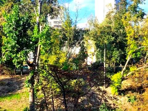 квартира за адресою Васильківська вул., 2-А