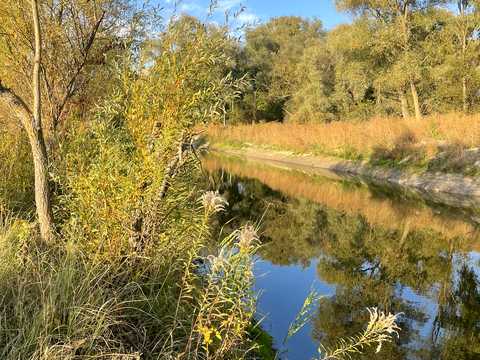 будинок за адресою Ялинкова вул.