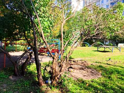 квартира по адресу Сергея Грицевца ул. (Сергія Грицевця), 51а