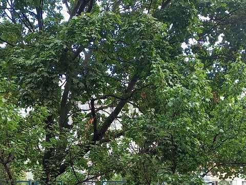 квартира по адресу Припортовая ул. (Героев Сталинграда), 22