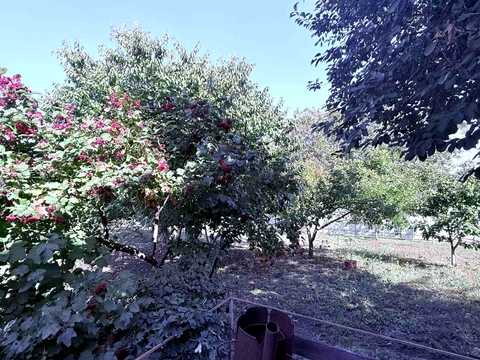 дом по адресу Вишнёвая ул., 32