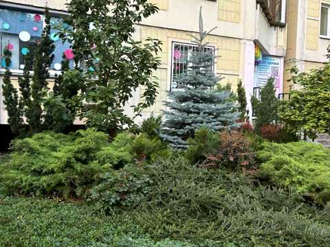 квартира по адресу Юлии Здановской ул. (Ломоносова), 83-А