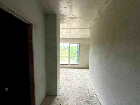 1878475236256337