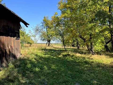 участок по адресу Франка, 22