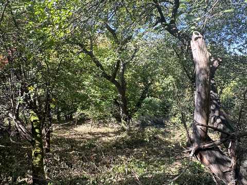 будинок за адресою Короленка вул., 10