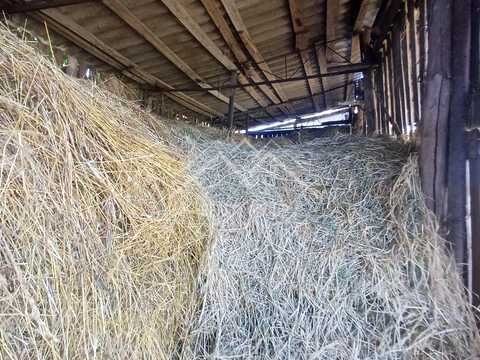 дом по адресу Північна, 34