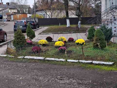 комерційна за адресою смт. Журавно, Андрея Шептицького вул., 5