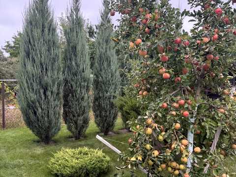будинок за адресою Халхiнгольська вул.