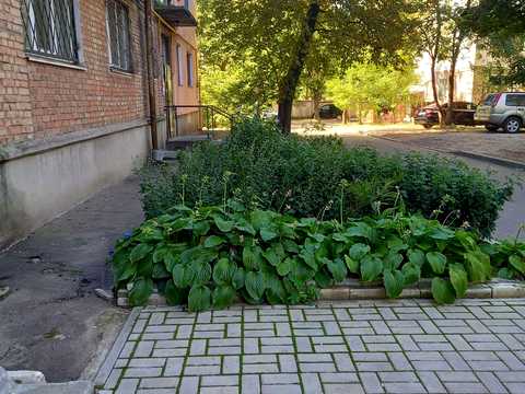 квартира по адресу Парковая ул. (Анатолия Олейника), 42