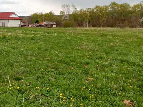 ділянка за адресою с. Микитинці, Повстанців