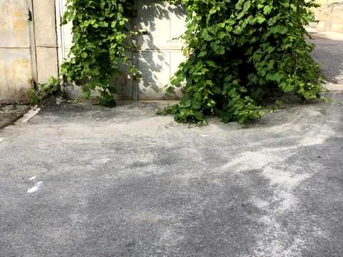 квартира за адресою Театральна вул. (Леніна), 31