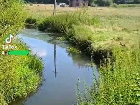 ділянка за адресою с. Карачинів, нема