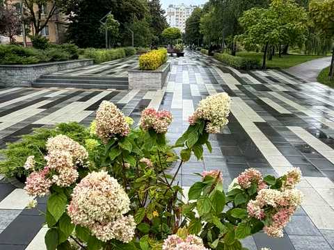 квартира за адресою Житомир, Захисників України вул., 20