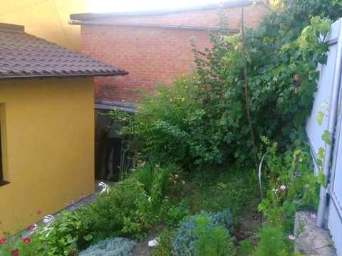 будинок за адресою Трипільська вул. (Щедріна)
