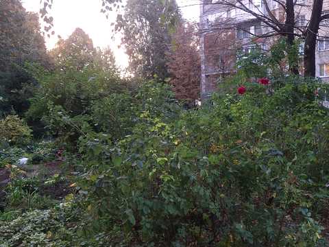 квартира за адресою Володимира Антоновича вул. (Свердлова), 68