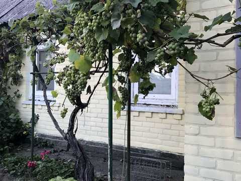будинок за адресою Черкаси, Романа Шухевича вул. (2-го Українського Фронту), 41