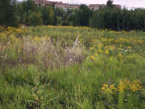участок по адресу Крайня ул.