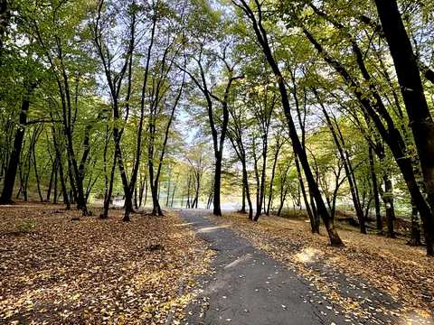 квартира за адресою Рея Бредбері вул., 2