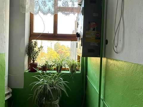 квартира по адресу Дарвина ул., 1
